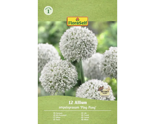 Balenie 12 cibuliek okrasného cesnaku Allium ampeloprasum 'Ping Pong' od firmy FloraSelf