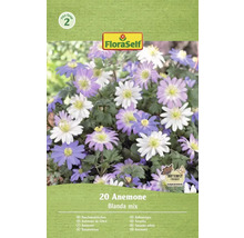 Balenie FloraSelf 20 Anemone Blanda mix