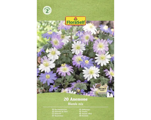Sasanka balkánska FloraSelf 'Blanda mix' 20 ks Balenie FloraSelf 20 Anemone Blanda mix