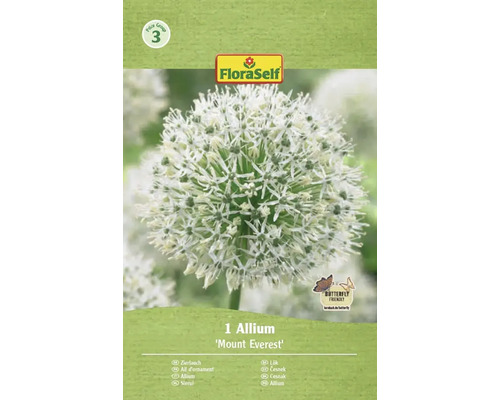 Okrasný cesnak FloraSelf 'Mount Everest' 1 ks Cesnak okrasný Mount Everest v balení FloraSelf