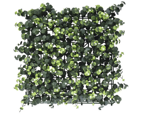 Panel na stenu Umelá rastlina White buds 38x38 cm Eukalyptová rohož na dekoráciu stien