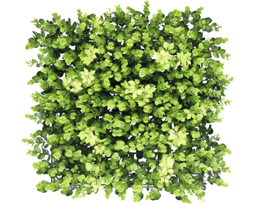 Panel na stenu Umelá rastlina Big Eucalyptus 38x38cm Umelá rohož zo zelených rastlín s listami