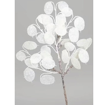 Dekoratívna vetva s okrúhlymi, trblietavými listami