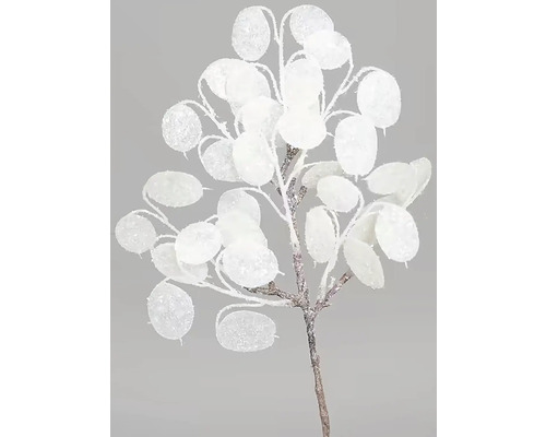 Dekoratívna vetva s okrúhlymi, trblietavými listami