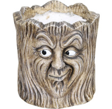 Kvetináč dizajn tváre stromu