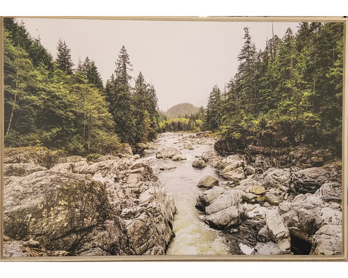 Zarámovaný obraz riečnej krajiny so skalami a stromami