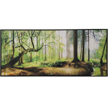 Nástenný obraz s motívom lesa a kmeňmi stromov