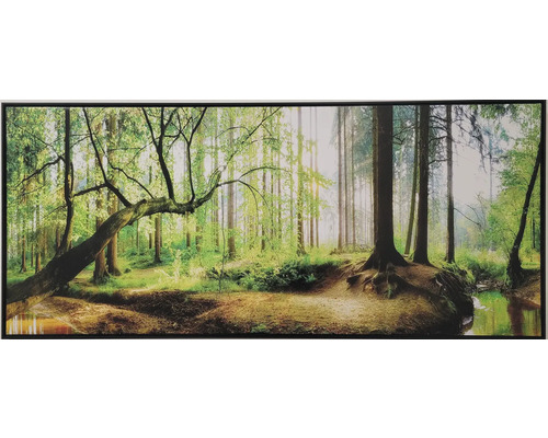 Nástenný obraz s motívom lesa a kmeňmi stromov