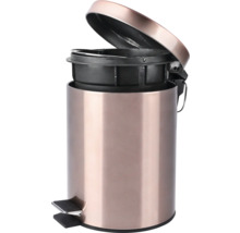 Kovový odpadkový kôš s vyberateľným vnútorným košom