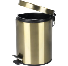 Kovový odpadkový kôš s pedálom a otvoreným vekom