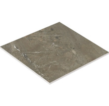 Dlaždica so vzhľadom mramoru