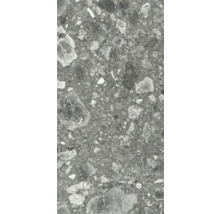 Šedá kameninová dlaždica s kamenným dekorom