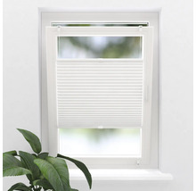 Okno s bielou plisovanou roletou a izbovou rastlinou