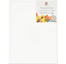The Wall Art Premium Artist plátno, 40x50 cm, trojité balenie