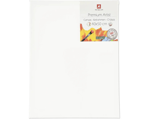 The Wall Art Premium Artist plátno, 40x50 cm, trojité balenie