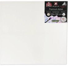 Maliarske plátno na ráme s rozmermi 100 x 100 cm