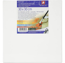 Kartón s plátnom, 30 x 30 cm, vhodný pre tempery, kvaš, akrylové farby a olejové farby