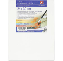 The Wall Art maliarske plátno, 24 x 30 cm, vhodné pre tempery, kvaš, akrylové farby a olejové farby