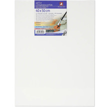 Lepenkový kartón, 40x50 cm, vhodný pre hobby maliarov aj profesionálov, vopred napenetrovaný, 100-percentná bavlna