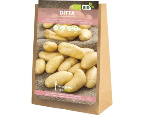 Bio sadbové zemiaky "Ditta" 6 kusov voskové/múčnaté Sadbové zemiaky Ditta v päťkilovom vreci