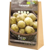 Sadzbové zemiaky Twinner, pevné, 5 kilogramov