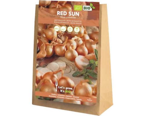 Kvetinové cibule červenej šalotky v papierovom vrecku