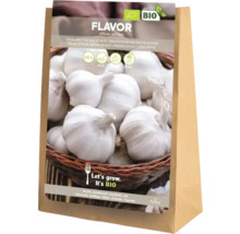 Vrecúško semien cesnaku odrody Flavor Allium sativum