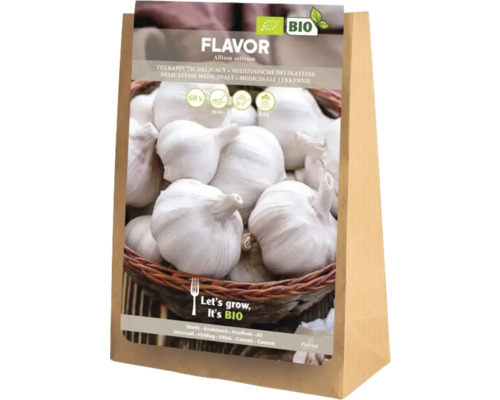 Vrecúško semien cesnaku odrody Flavor Allium sativum