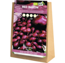 Sadenice zimnej cibule Red Baron v papierovom vrecku