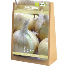 Sadzobná cibuľa Santero, certifikovaná bio, balenie po 60 kusov