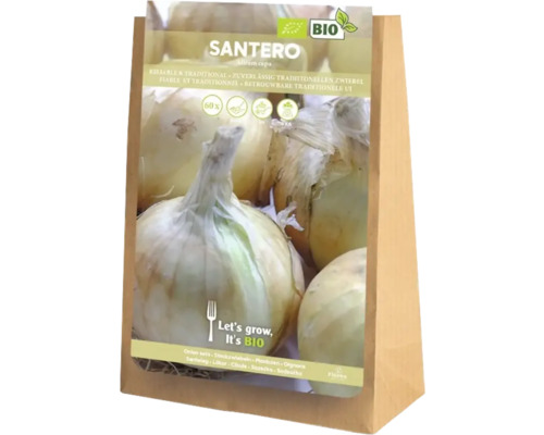 Sadzobná cibuľa Santero, certifikovaná bio, balenie po 60 kusov