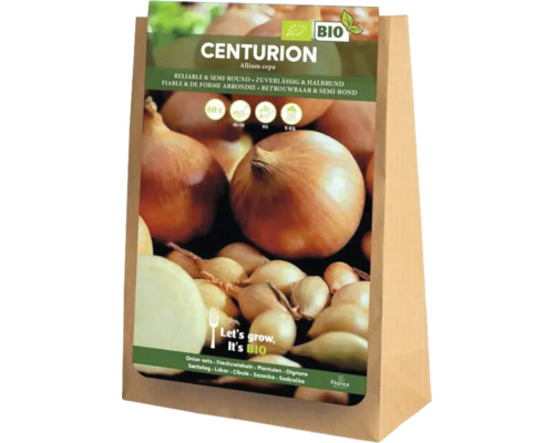 Balenie cibule Centurion, Allium cepa, organická kvalita