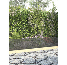 Záhrada s porastom, kovovým plotom a mozaikovou dlažbou