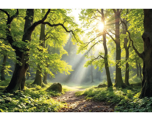 Obraz Decopanel ART-L 60 x 80 cm Cesta slnečným lesom s listnatými stromami