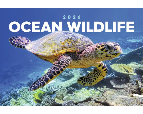Nástenný kalendár Podmorský svet 2026 Kalendár oceánskej divočiny 2026 s morskou korytnačkou pod vodou