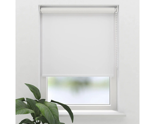 Biela roleta na okne s rastlinou v izbe