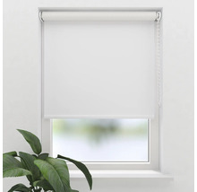 Biela roleta v okne s retiazkovým ovládaním a rastlinou