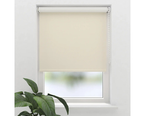 Okno so zatvorenou roletou a rastlinou