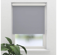 Sivá roleta v okne s rastlinami v miestnosti