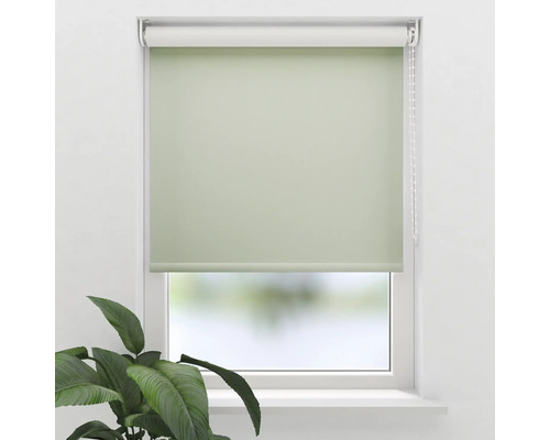 Zelená okenná roleta na tienenie a súkromie
