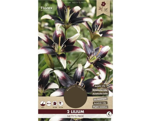 Balenie dvoch ľalií odrody Netty's Pride