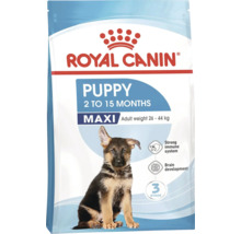Logo Royal Canin. Balenie suchého krmiva pre psov Puppy Maxi pre šteniatka od 2 do 15 mesiacov s konečnou hmotnosťou 26 až 44 kilogramov.