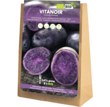 Vitanoir sadbové zemiaky vo vreci