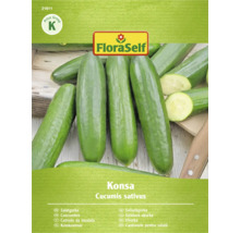 Šalátová uhorka odrody Konsa, Cucumis sativus, od FloraSelf