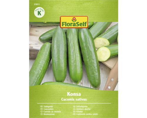 Šalátová uhorka odrody Konsa, Cucumis sativus, od FloraSelf