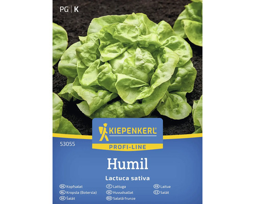 Semená hlávkového šalátu Kiepenkerl Humil
