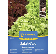Balenie semien Kiepenkerl Salat Trio