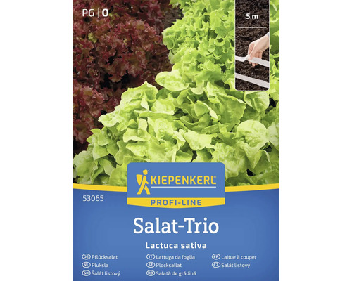 Balenie semien Kiepenkerl Salat Trio