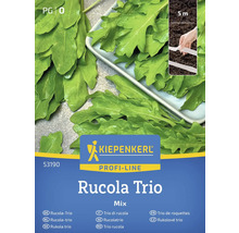 Balíček semien Kiepenkerl Rucola Trio