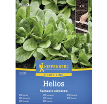 Kiepenkerl Profi-Line Helios balíček semien špenátu